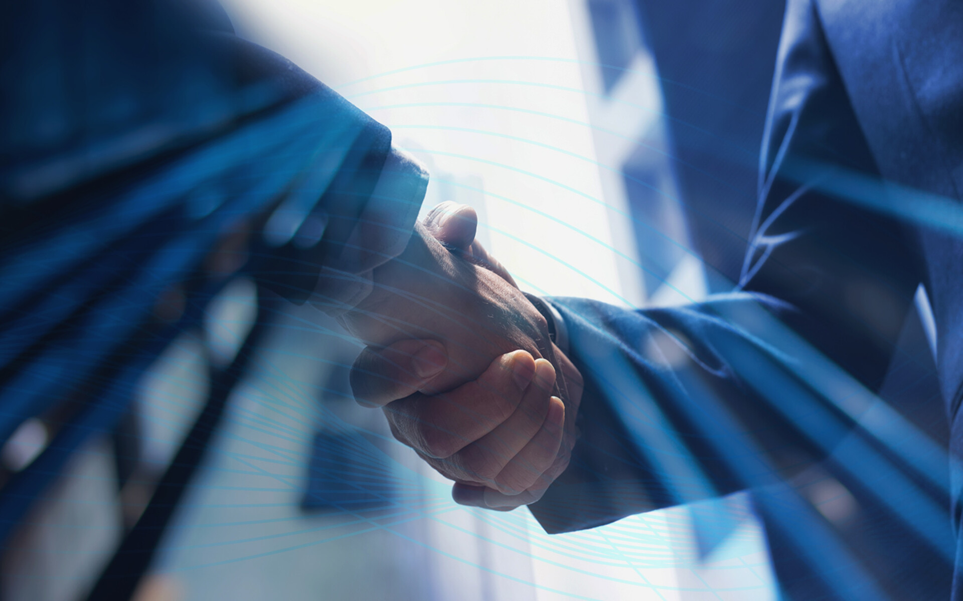 Partners & Alliances