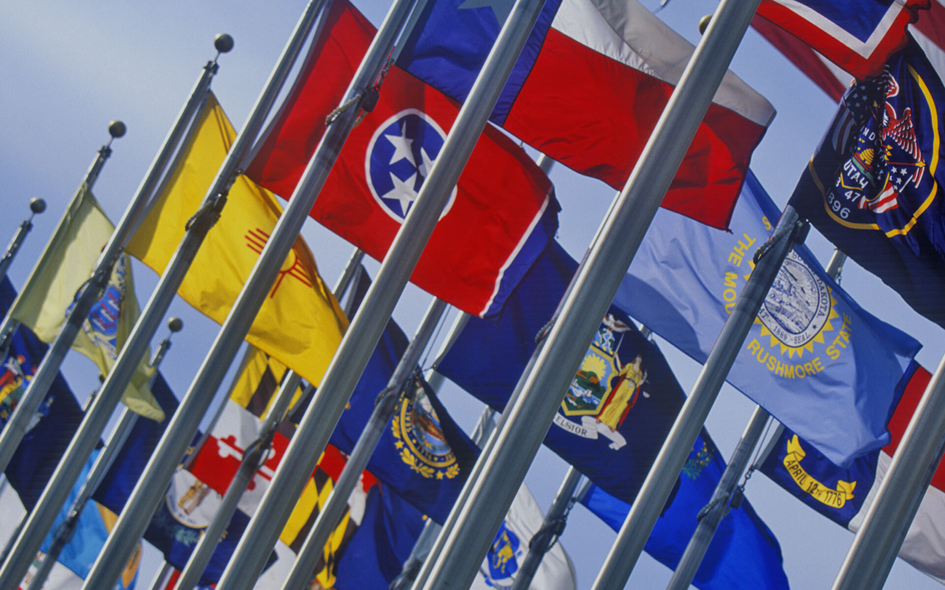 State flags on flagpoles lined up together