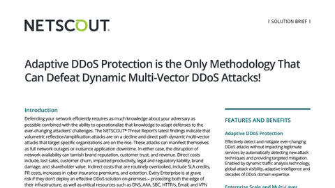 Adaptive DDoS Protection is the Only Methodology That Can Defeat Dynamic Multi-Vector DDoS Attacks