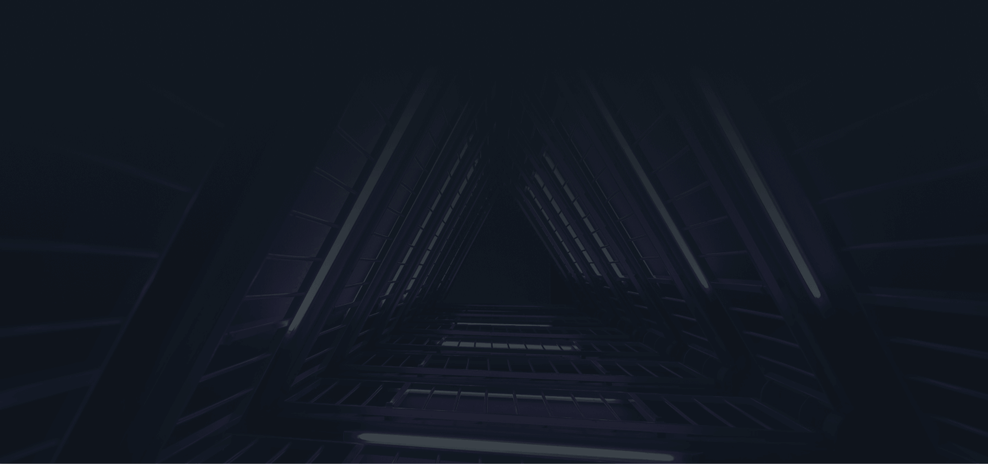 Omnis Network Security