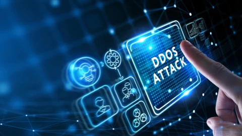 Botnet Pulse DDoS Attack