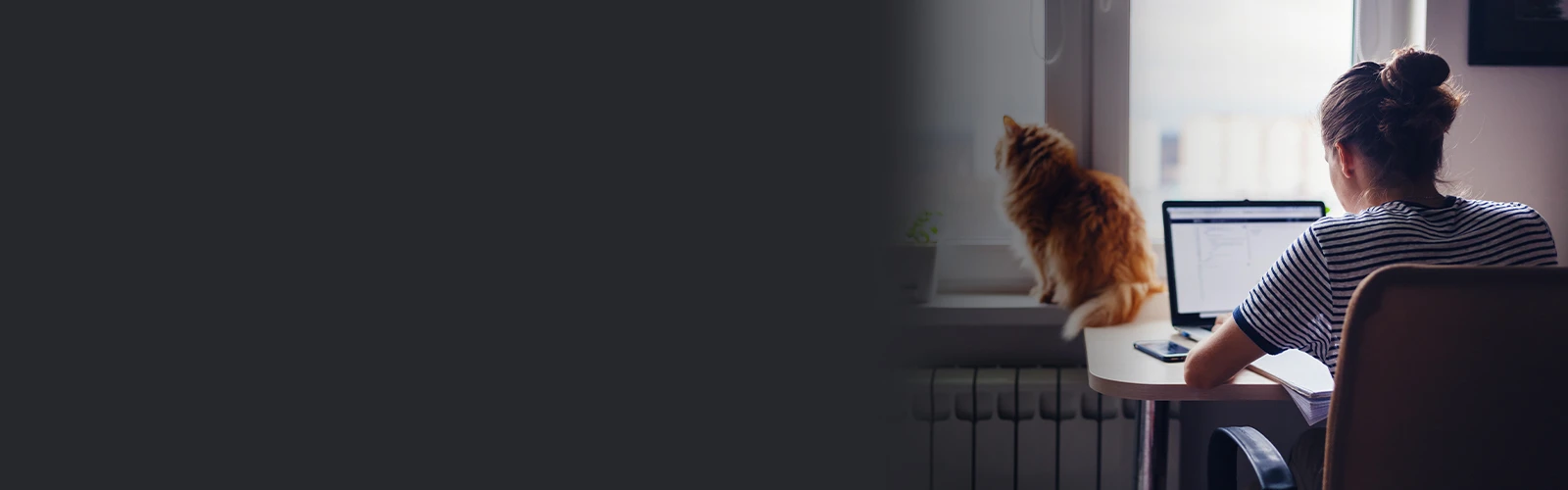 Woman working on laptop at desk with orange cat sitting nearby looking out the window