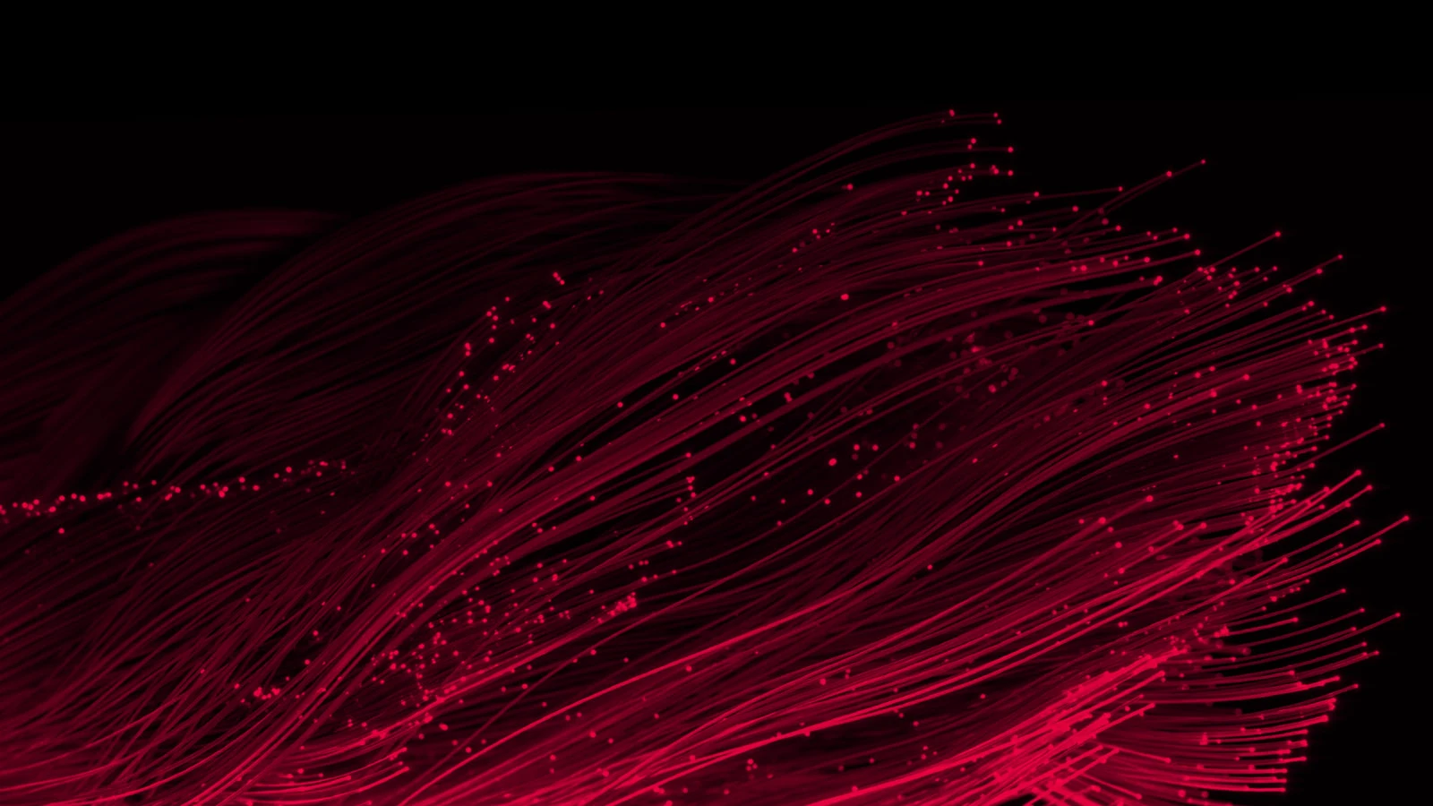 Managed DDoS Protection Services